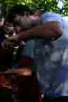 prase